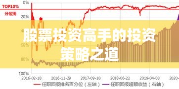 股票投资高手的投资策略之道