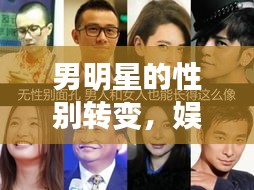男明星的性别转变，娱乐圈内外的挑战与探索之旅