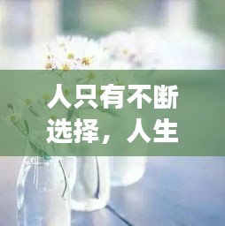 人只有不断选择，人生,就是不断选择不断失去 