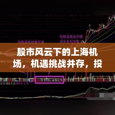 股市风云下的上海机场，机遇挑战并存，投资前景揭秘