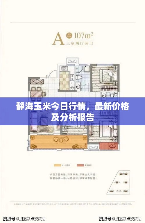 聚精会神
