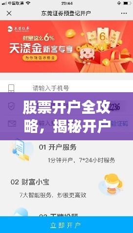 股票开户全攻略，揭秘开户与佣金之间的秘密关联
