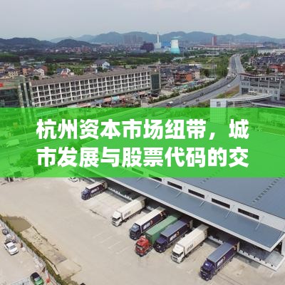 杭州资本市场纽带，城市发展与股票代码的交融之旅