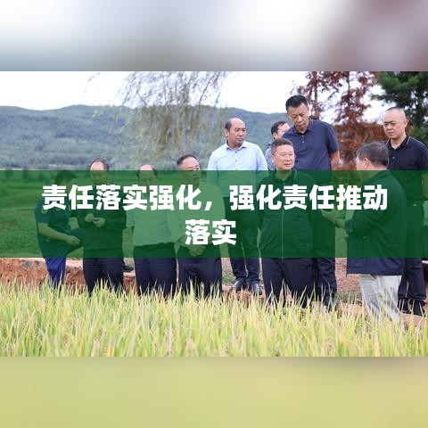 责任落实强化，强化责任推动落实 