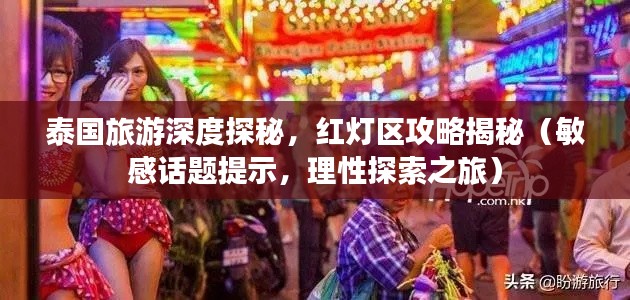 纲挈目张