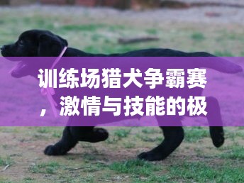 大张旗鼓