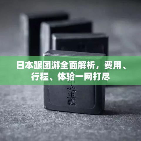 日本跟团游全面解析，费用、行程、体验一网打尽