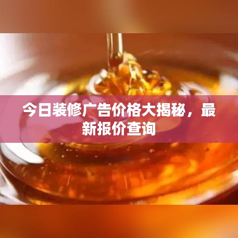 坌鸟先飞
