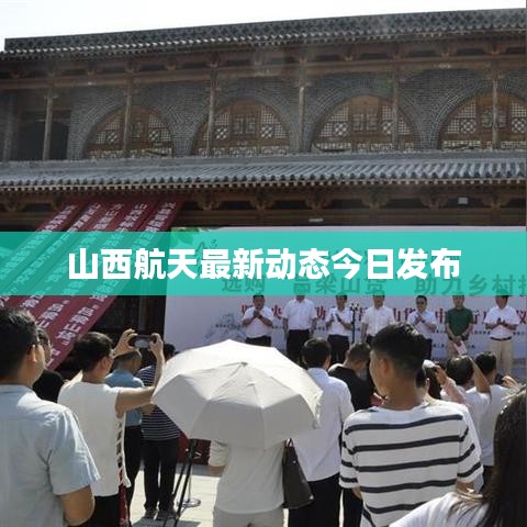 标新创异