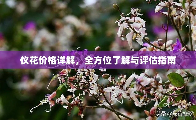 美如冠玉