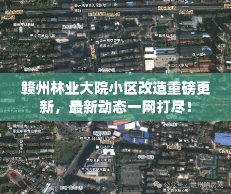 千载难逢