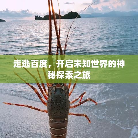 下马看花