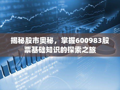 揭秘股市奥秘，掌握600983股票基础知识的探索之旅