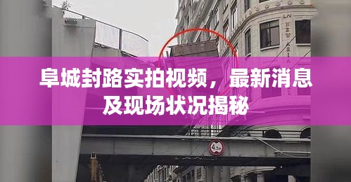 虫书鸟篆