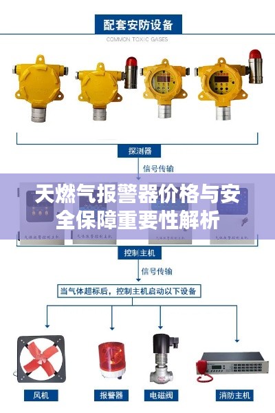 还醇返朴