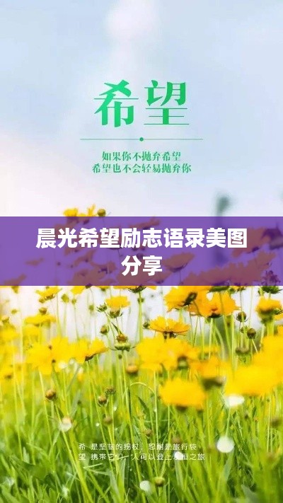 后会难期