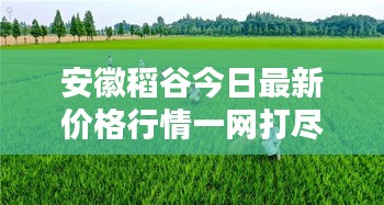 井蛙之见