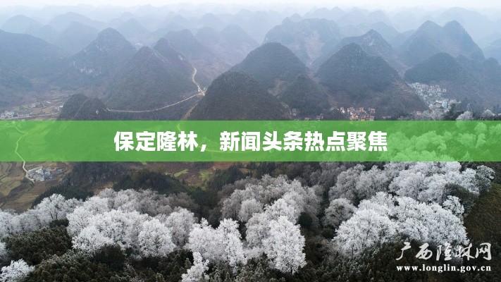 一丝不苟