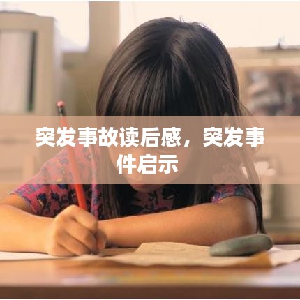 凤凰于飞