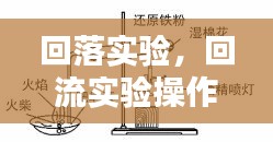 回落实验，回流实验操作视频 
