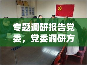 专题调研报告党委，党委调研方案 