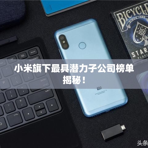 晋惠闻蛙