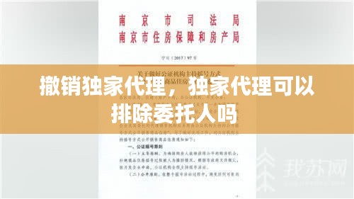 小鸟依人