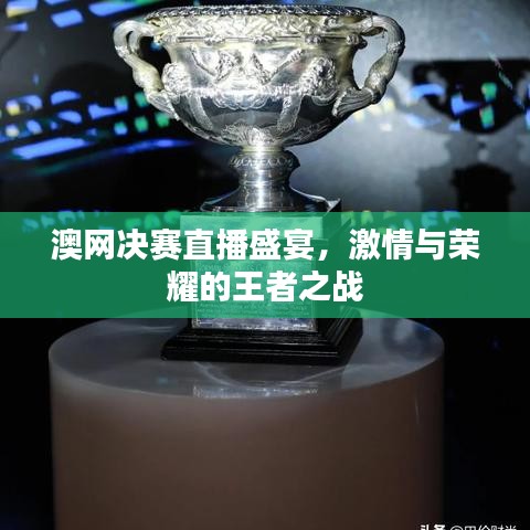 花开无言