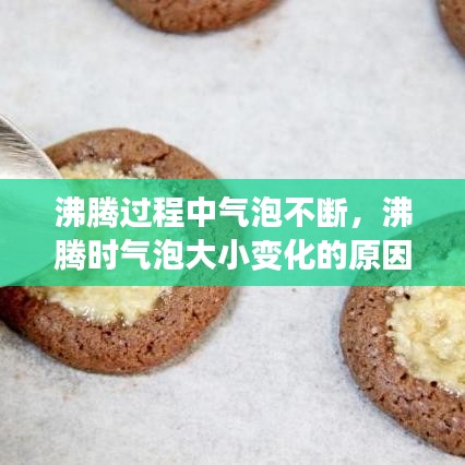 衣无二彩