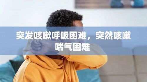 秀外慧中