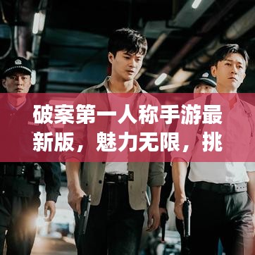 龙飞凤舞