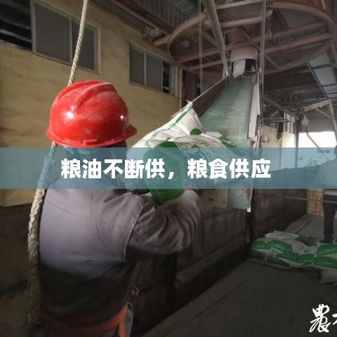 鸟飞兔走