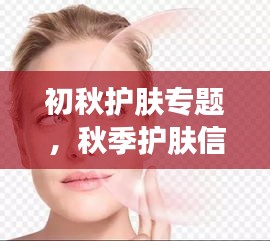 百不得一