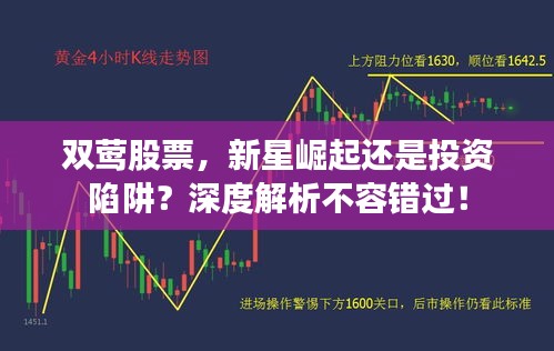 双莺股票，新星崛起还是投资陷阱？深度解析不容错过！
