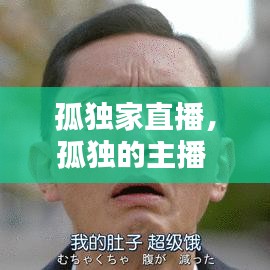抛砖引玉