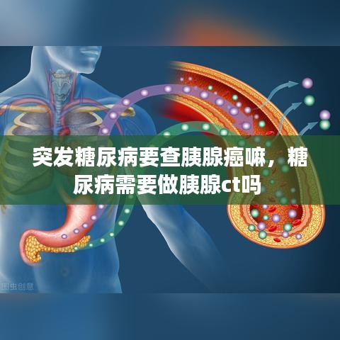 不求甚解
