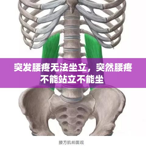 轻飞曼舞