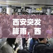令行禁止