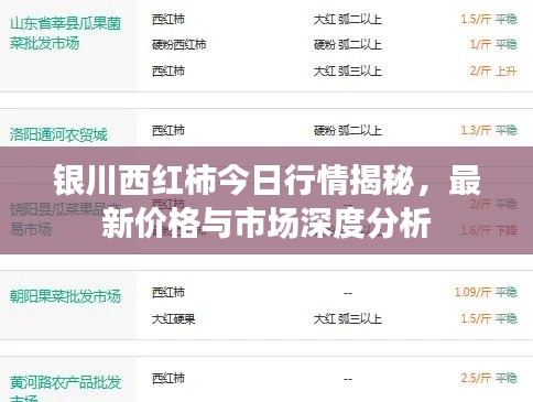 银川西红柿今日行情揭秘，最新价格与市场深度分析