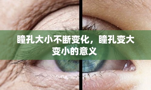 业业兢兢