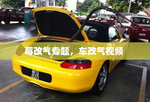 观往知来