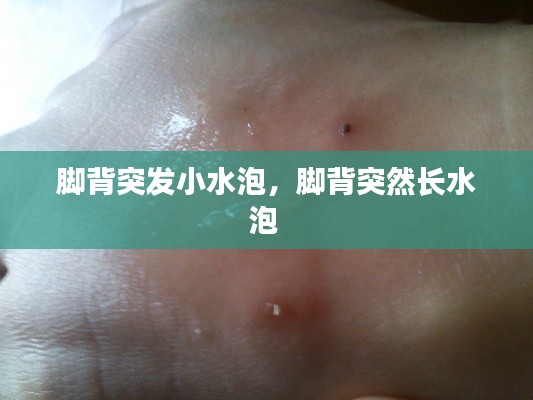 食淡衣粗