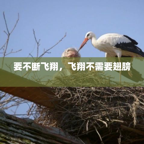要不断飞翔，飞翔不需要翅膀 
