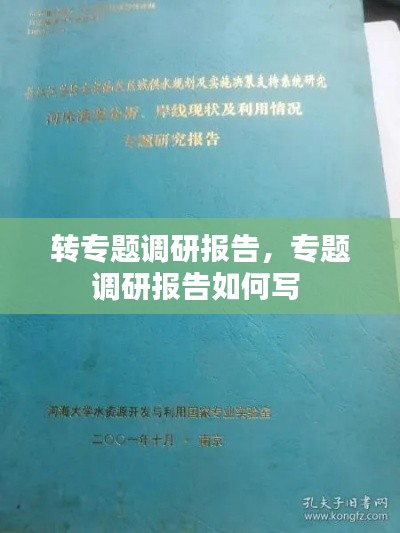 转专题调研报告，专题调研报告如何写 