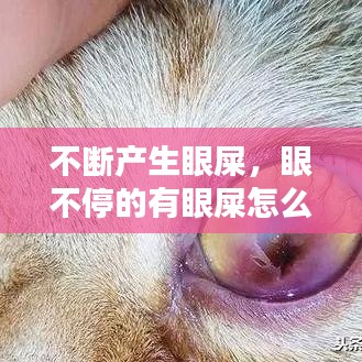 不知就里