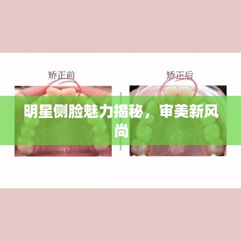 明星侧脸魅力揭秘，审美新风尚