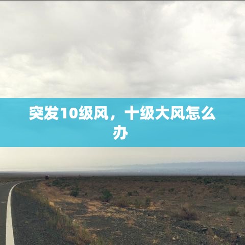 韦编三绝