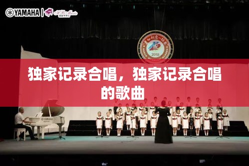 飞来横祸