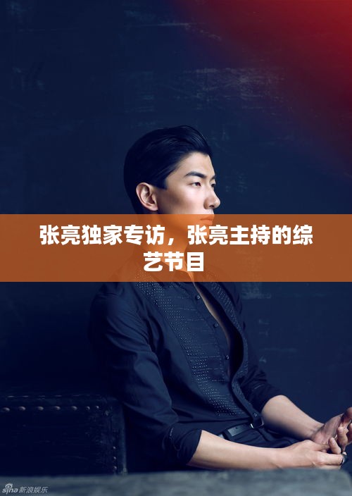 张亮独家专访，张亮主持的综艺节目 