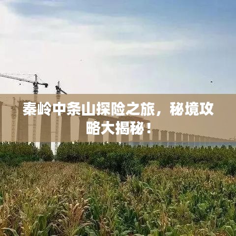 秦岭中条山探险之旅，秘境攻略大揭秘！